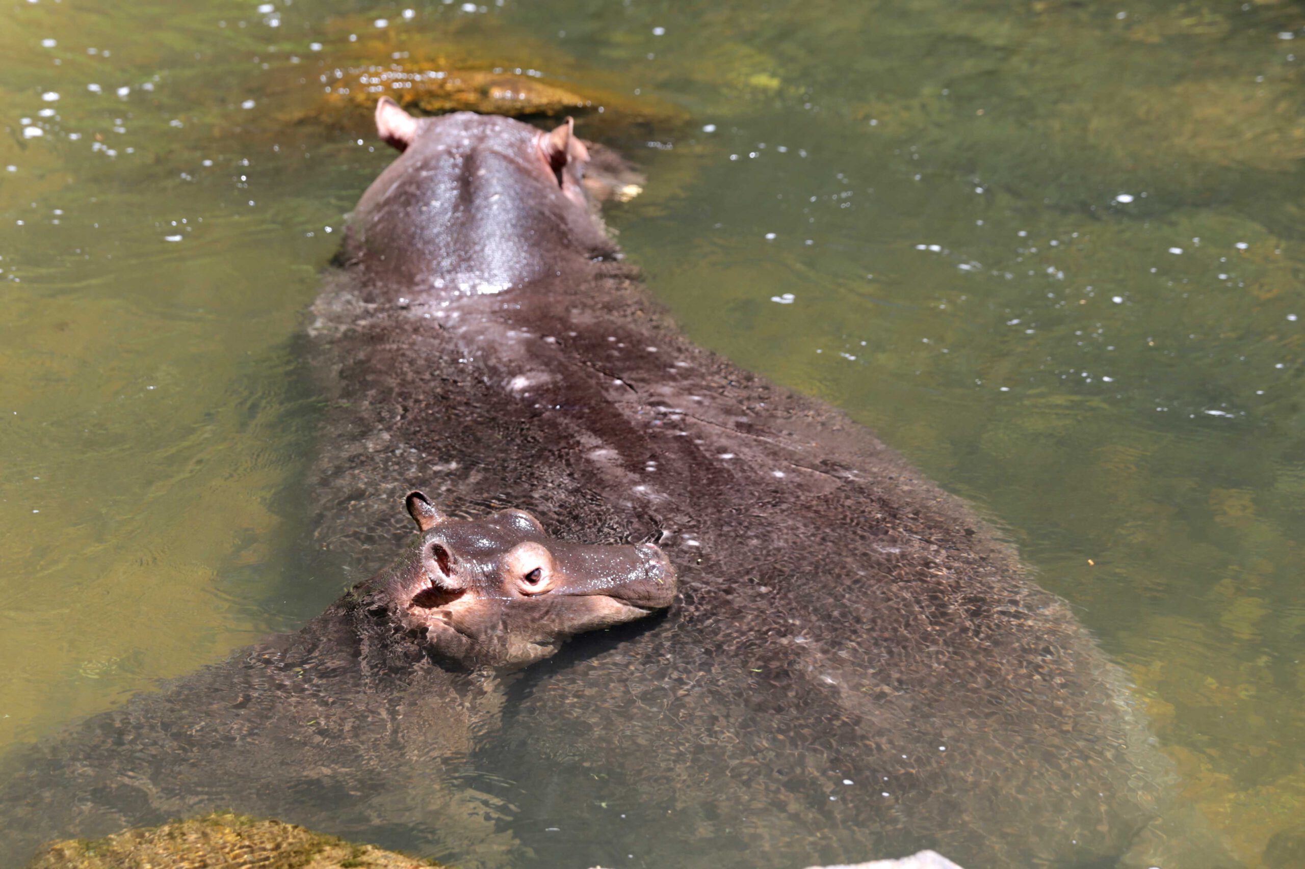 Mother and her baby